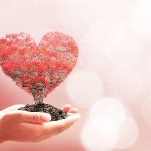 EL DESAFIO DEL AMOR: AMAR