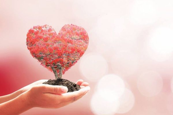EL DESAFIO DEL AMOR: AMAR
