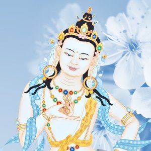 MENTE PURA, MUNDO PURO